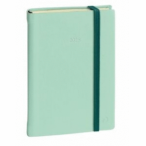 AGENDA QUO VADIS DAILY 21 D/P VERDE