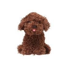 PELUCHE PERRO CODY MARRON OSCURO 16CM