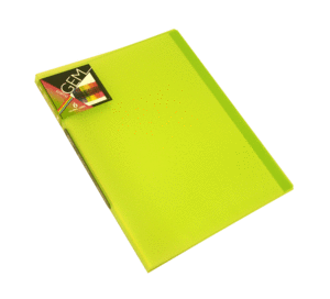 CARPETA 20 FUNDAS DATABANK VERDE