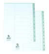 SEPARADORES NUMERICOS DE 12 PLASTICO