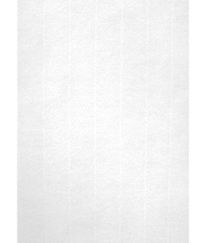 PAPEL VERJURADO BLANCO 100G 100H A4