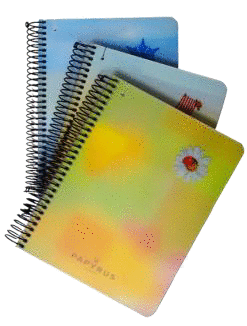 CUADERNO PAPYRUS UNIPAPEL A6 120H 70º CUADRICULA MODELOS SURTIDOS