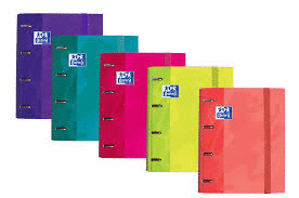 CARPETA CLASIFICADORA Fº OXFORD TOUCH COLORES SURTIDOS
