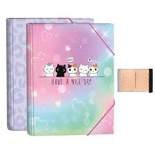 CARPETA CLASIFICADORA Fº CATS SURTIDAS SENFORT