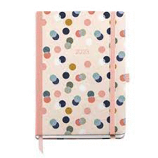 AGENDA MIQUELRIUS PLUS 4º D/P  MODELOS SURTIDOS 