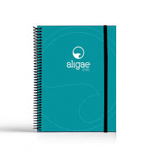 AGENDA ALIGAE 2021 S/V COACHING AGENDA