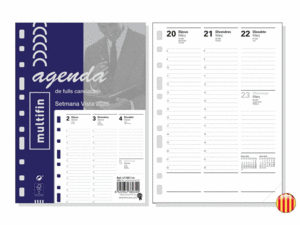 RECANVI AGENDA MULTIFIN 3002 D/PAG CATALA