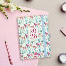 AGENDA FINOCAM CAPRI FA5 S/V COLORES SURTIDOS