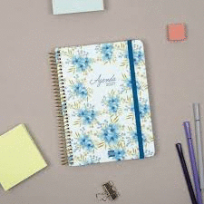 AGENDA ESCOLAR CLOE E10 S/V 16M MODELOS SURTIDOS
