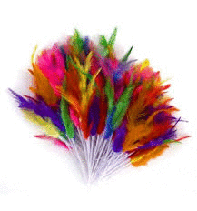 PLUMAS DE COLORES PARA MONAS