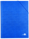 CARPETA CLASIFICADORA AZUL