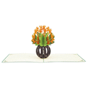 XIU XIU POSTAL CENTRE DE FLORS D´OCELL