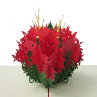 XIU XIU POSTAL FLOR DE NADAL