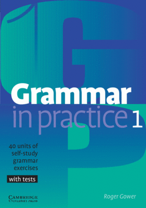 GRAMMAR IN PRACTICE 1