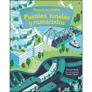 PUENTES TUNELES Y RASCACIELOS