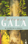 DUEÑO DE LA HERIDA,EL