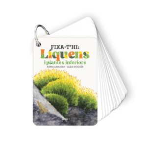 FIXA-T'HI: LÍQUENS I PLANTES INFERIORS