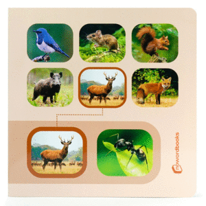 BUSCA Y ENCUENTRA ANIMALES DEL BOSQUE