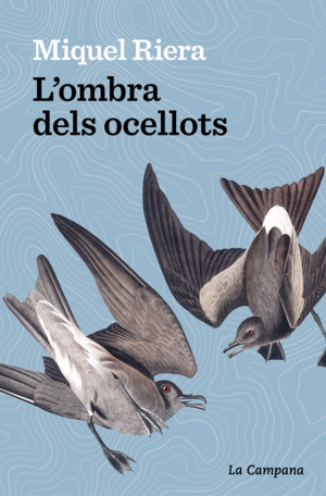 L'OMBRA DELS OCELLOTS