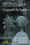 GEGANTS DE BARRI (CAT)