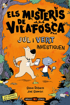 ELS MISTERIS DE VILAFOSCA. JUL I VERT INVESTIGUEN