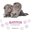 2015 CALENDARIO GATITOS