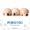 2015 CALENDARIO PERRITOS