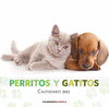 2015 CALENDARIO PERRITOS Y GATITOS