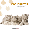 CALENDARIO CACHORRITOS 2016