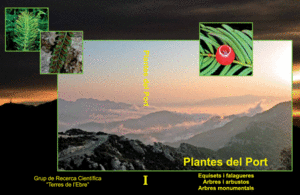 PLANTES DEL PORT