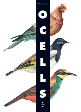 OCELLS (DESPLEGABLE)