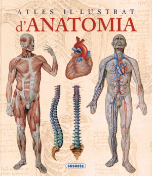 ATLES IL-LUSTRAT D'ANATOMIA