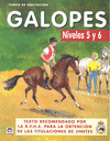 CURSO DE EQUITACIÓN. GALOPES NIVELES 5 Y 6