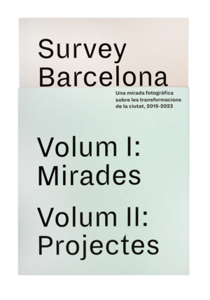 SURVEY BARCELONA