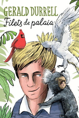 FILETS DE PALAIA