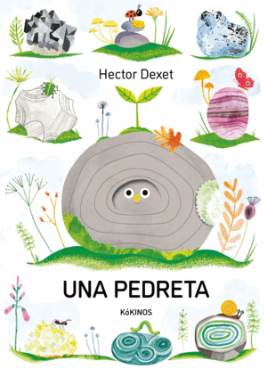 UNA PEDRETA