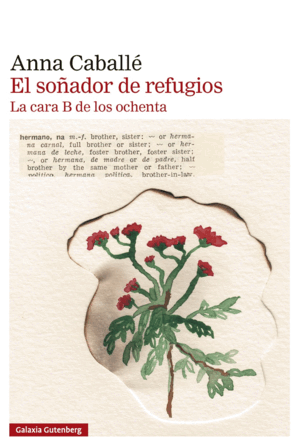 EL SOÑADOR DE REFUGIOS